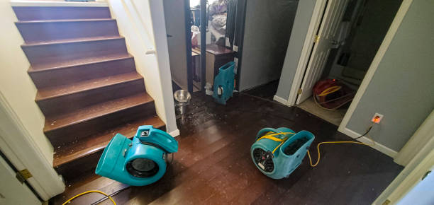 Best Water damage restoration near me  in Rinna, VA