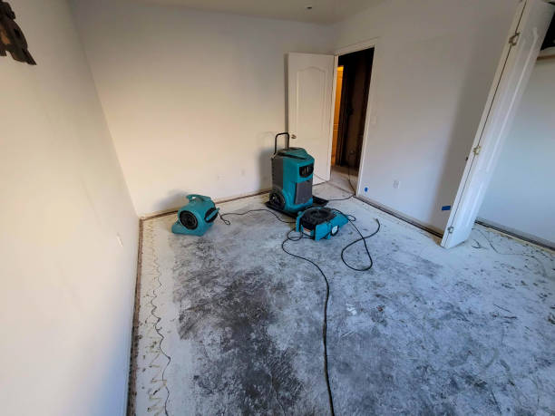 Best Flood restoration services  in Rinna, VA