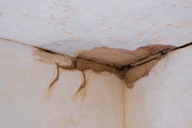  Rinna, VA Water damage restoration Pros