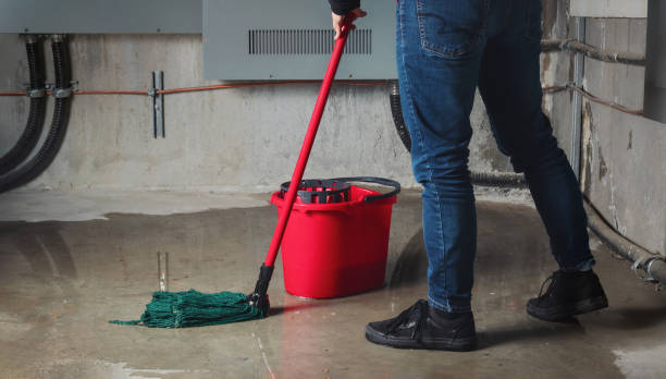 Best Sewage cleanup and water damage restoration  in Rinna, VA