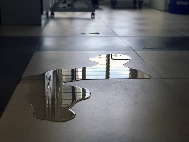 Best Water damage restoration near me  in Rinna, VA